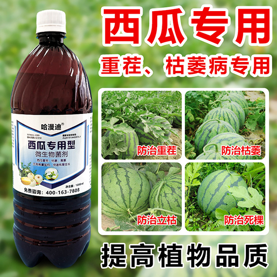 西瓜專用型微生物菌劑-鑫科植保2