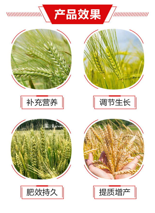 小麥水稻專用分蘗灌漿肥-萬(wàn)畝康_03