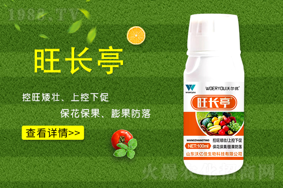 什么是黃瓜旺長？黃瓜旺長的防控措施