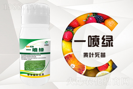 大棚蔬菜育苗為什么容易死苗？怎么解決？