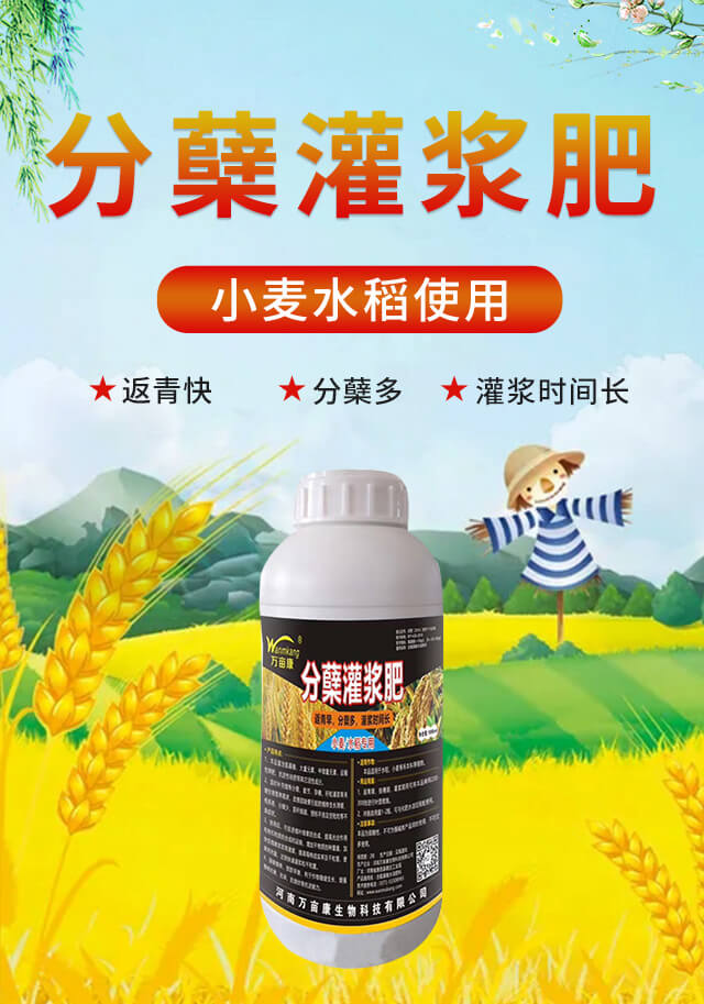 小麥水稻專用分蘗灌漿肥-萬(wàn)畝康_01