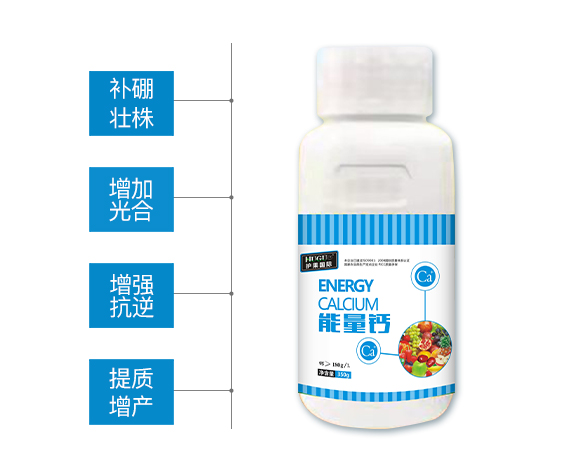 護(hù)果國(guó)際855862_02