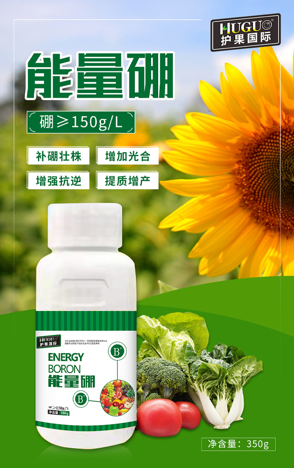 護果國際855863_01