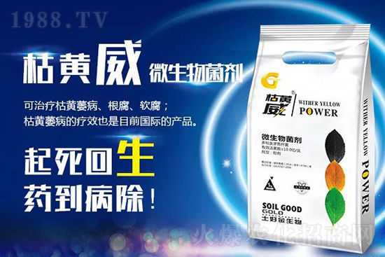 枯黃萎、立枯等病害怎樣滅殺？用它就夠了！