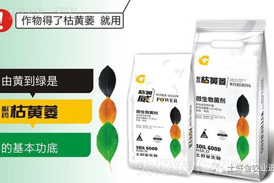 枯黃萎、立枯等病害怎樣滅殺？用它就夠了！