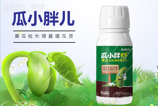 黃瓜什么時(shí)候澆水？黃瓜哪些階段需要澆水？