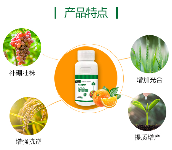 護果國際855863_03