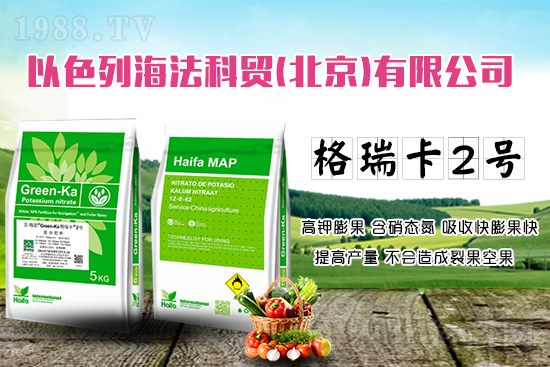 果蔬膨果增產(chǎn)的秘密！杜絕裂果空果，以色列原裝進(jìn)口，配方萬里挑一！