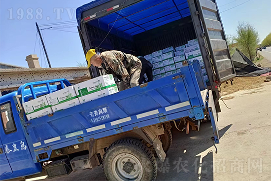 暢銷爆品！實(shí)力廠家！格瑞卡2號發(fā)貨不停歇