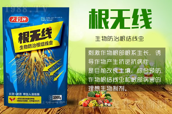 根結線蟲殺死容易殺絕難！這樣防治效果好到驚人！