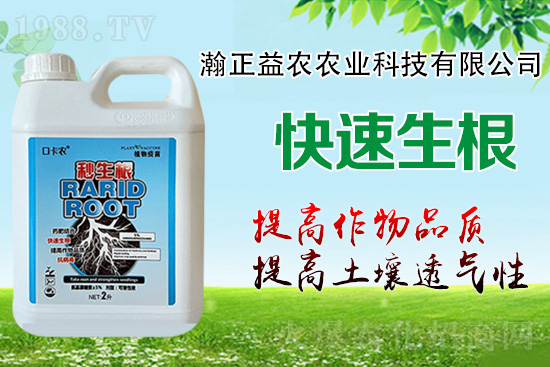 作物根系決定作物產(chǎn)量！這樣做，根系發(fā)達(dá)，白根多，用肥少！