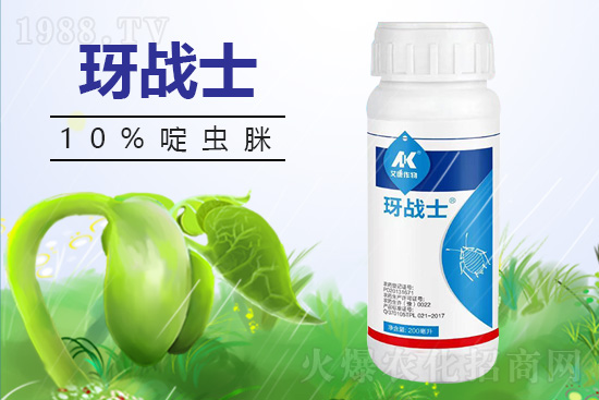 早春蚜蟲很容易大爆發(fā)，怎么避免黃瓜蚜蟲危害？