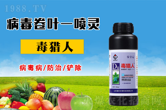 病毒病危害時(shí)期，怎么做好防治？