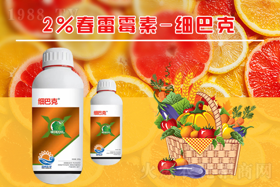 番茄潰瘍病怎么辦？聽聽專家怎么說！