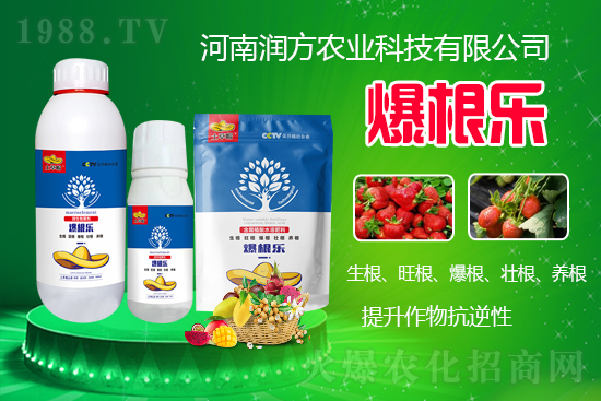     河南潤方農(nóng)業(yè)科技有限公司【微生物菌劑-爆根樂-土草帽】可幫助植物建立強(qiáng)壯強(qiáng)大的根系，促進(jìn)植物對(duì)土壤養(yǎng)分、水分與氣體的吸收利用。生根、旺根、爆根、壯根、養(yǎng)根，增強(qiáng)抗逆性。