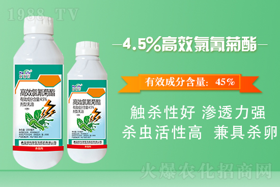 白菜菜青蟲有什么危害？白菜菜青蟲防治