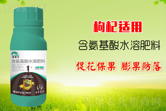 枸杞繁殖方法，主要的品種有哪些？