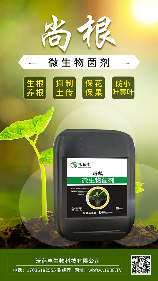 怎么才能讓作物生根壯根呢？這樣做讓作物生根到底！