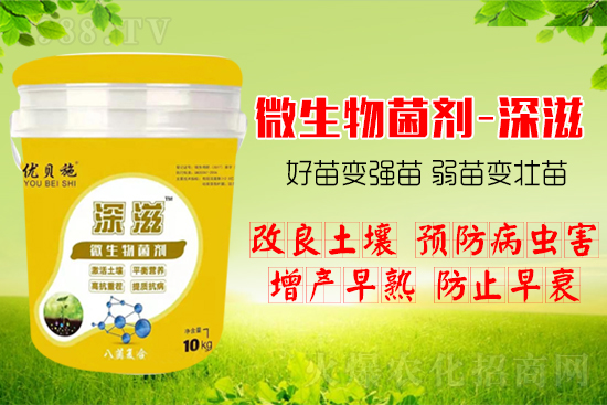 作物如何爆發(fā)式生根呢？生根養(yǎng)根方案快來(lái)看！