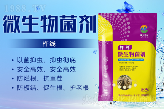 作物的根系，決定作物的產(chǎn)量