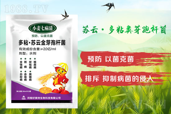 四月小麥赤霉病多發(fā)，不要錯(cuò)過(guò)防治時(shí)間！