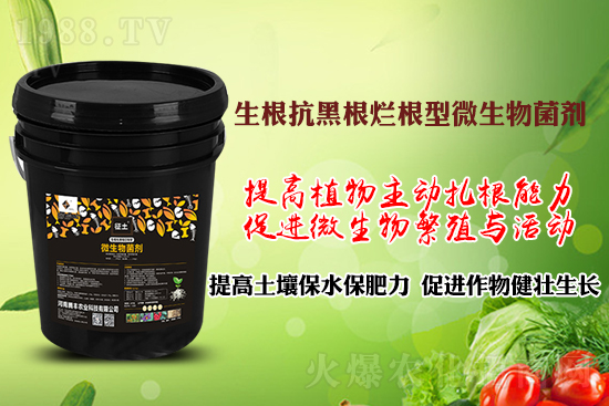作物黑根爛根、黃苗弱苗頻發(fā)？用“它”輕松解決！百萬種植戶都在用！