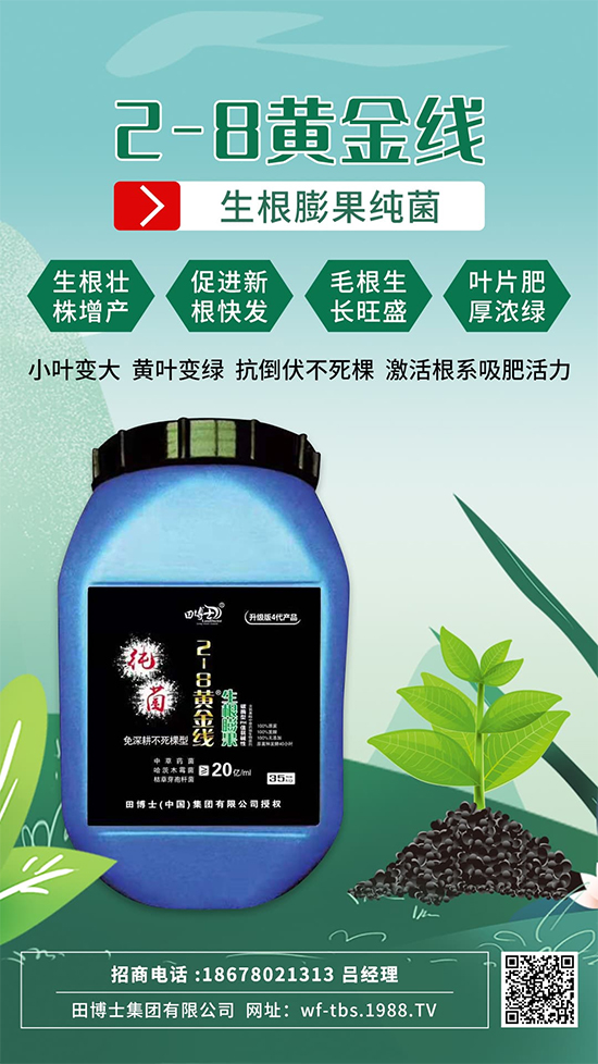 根是肥的嘴，萬(wàn)物生長(zhǎng)靠根系！作物爆發(fā)生根試試這一招! 