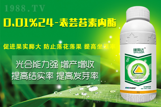 蕓苔素內(nèi)酯竟然有這么多作用！這樣搭配解決膨果增產(chǎn)難題！