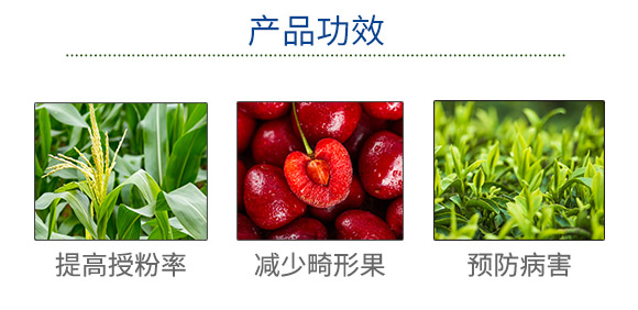 天津沃森特生物技術(shù)有限公司(912377)_03