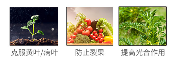 天津沃森特生物技術(shù)有限公司(912377)_04