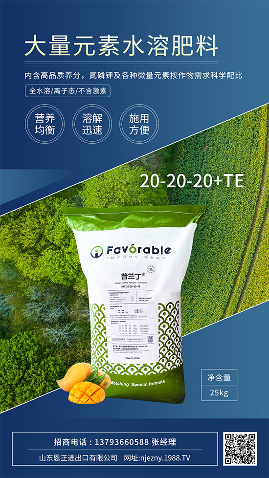 山東恩正進(jìn)出口有限公司9