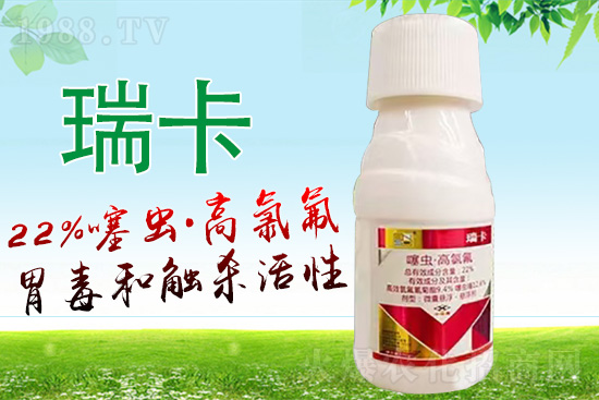 山東百農思達生物科技有限公司12