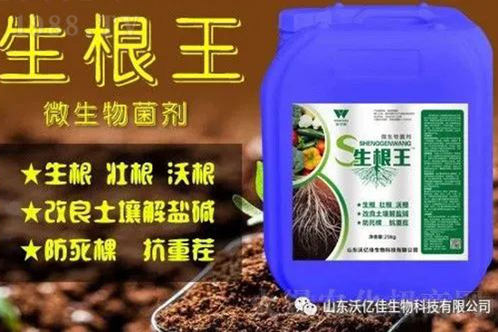 作物重茬、爛根死棵嚴(yán)重啥原因？如何改善這些難題？