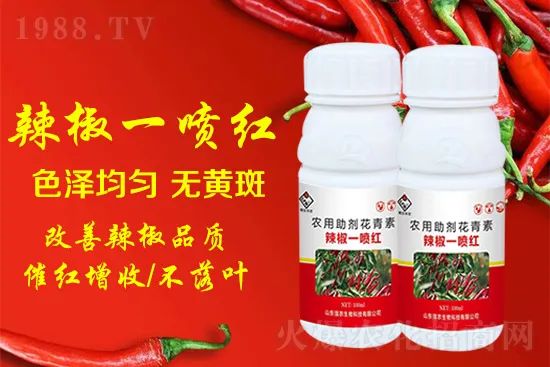 辣椒催紅增收專利產(chǎn)品！自然增紅零激素，色澤勻無黃斑