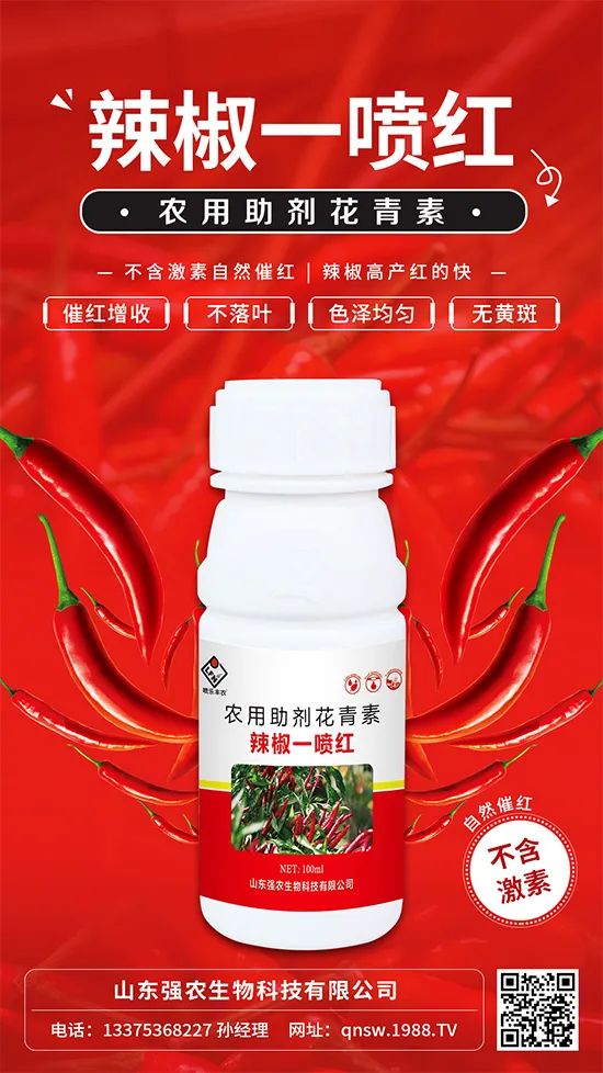 辣椒催紅增收專利產(chǎn)品！自然增紅零激素，色澤勻無黃斑