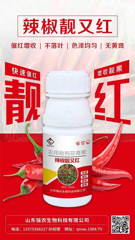辣椒催紅增收專利產(chǎn)品！自然增紅零激素，色澤勻無黃斑