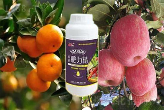 玉米追肥復(fù)合肥好還是尿素好？很多人都錯(cuò)了！它才是正確選擇