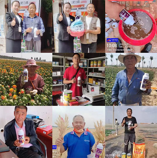 玉米追肥復(fù)合肥好還是尿素好？很多人都錯(cuò)了！它才是正確選擇