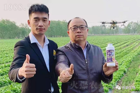 玉米追肥復(fù)合肥好還是尿素好？很多人都錯(cuò)了！它才是正確選擇