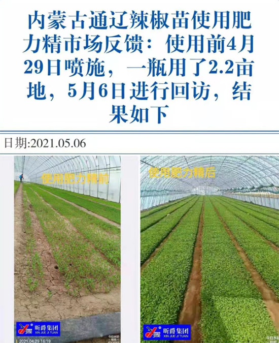 玉米追肥復(fù)合肥好還是尿素好？很多人都錯(cuò)了！它才是正確選擇