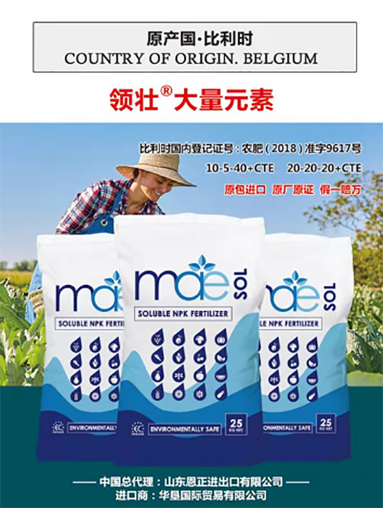 交500頂2000，高端進口肥“性價比霸主”