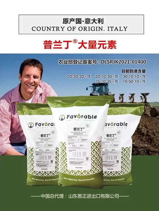 交500頂2000，高端進口肥“性價比霸主”