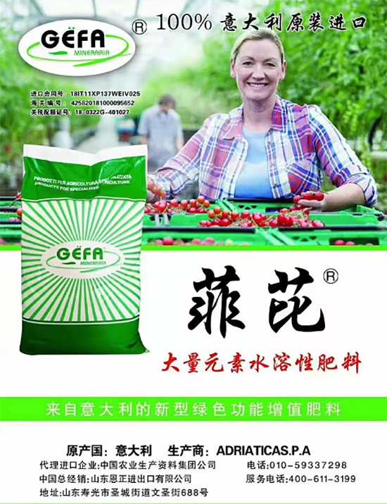 交500頂2000，高端進口肥“性價比霸主”