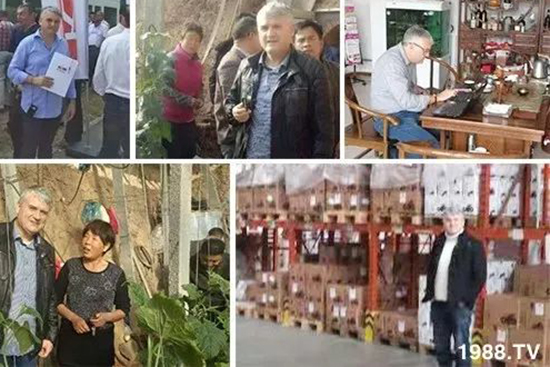 交500頂2000，高端進口肥“性價比霸主”