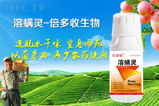 �ļ������~�����l(f��)��ô�k�������~����(y��ng)ԓ���ӷ��Σ�