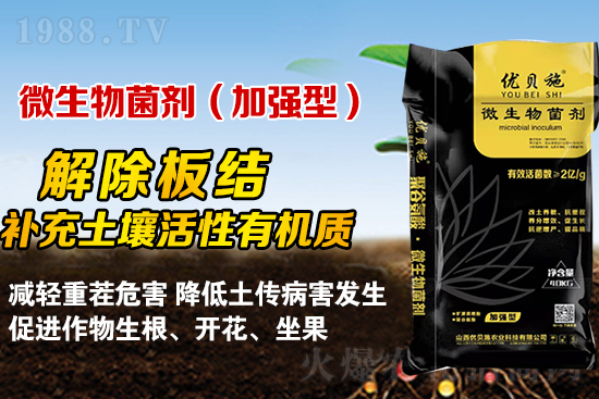 礦源黃腐酸鉀你了解多少？礦源黃腐酸鉀遇見微生物菌劑有啥奇妙反應(yīng)？