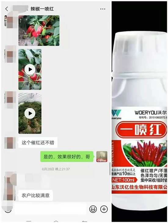 增紅率提高95%！催紅不落葉！收入翻幾番！就用辣椒一噴紅！