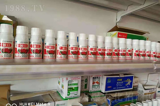 增紅率提高95%！催紅不落葉！收入翻幾番！就用辣椒一噴紅！