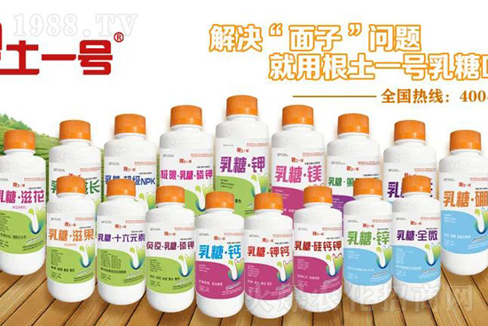 7月份獼猴桃進入二次膨大期、轉(zhuǎn)糖期，這5個管理要點不得不看！