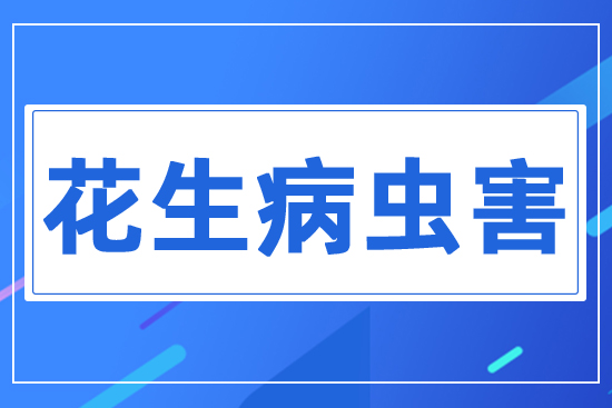 花生病蟲害